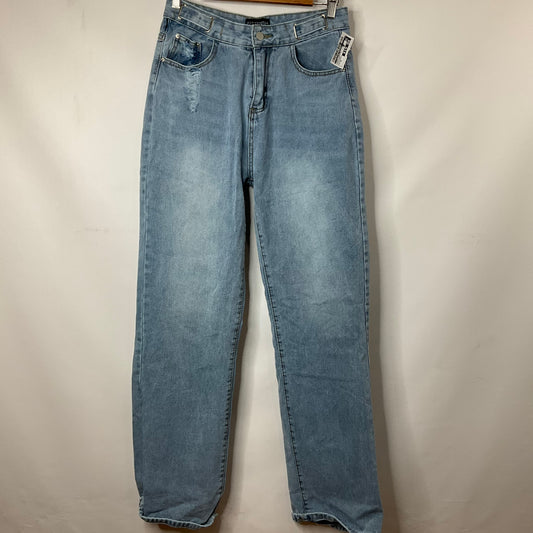 Blue Denim Jeans Straight Clothes Mentor, Size 10