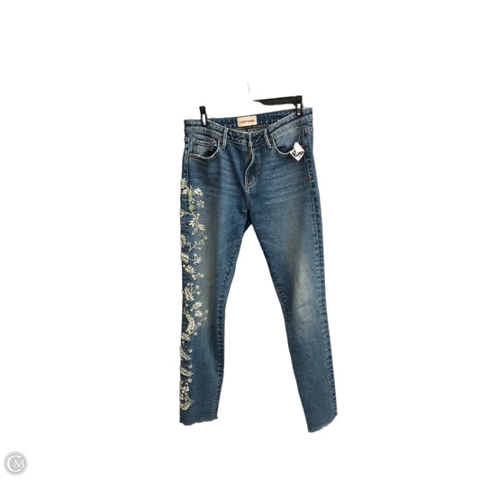 Jeans Skinny By Driftwood In Blue Denim, Size: 4