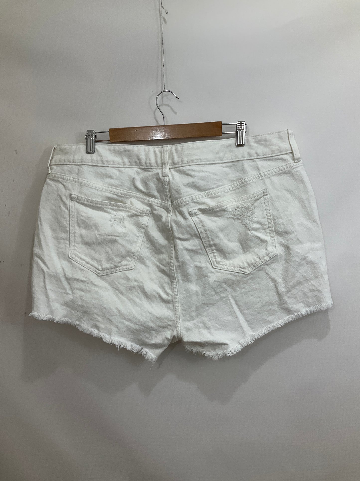 Shorts By Torrid  Size: 18